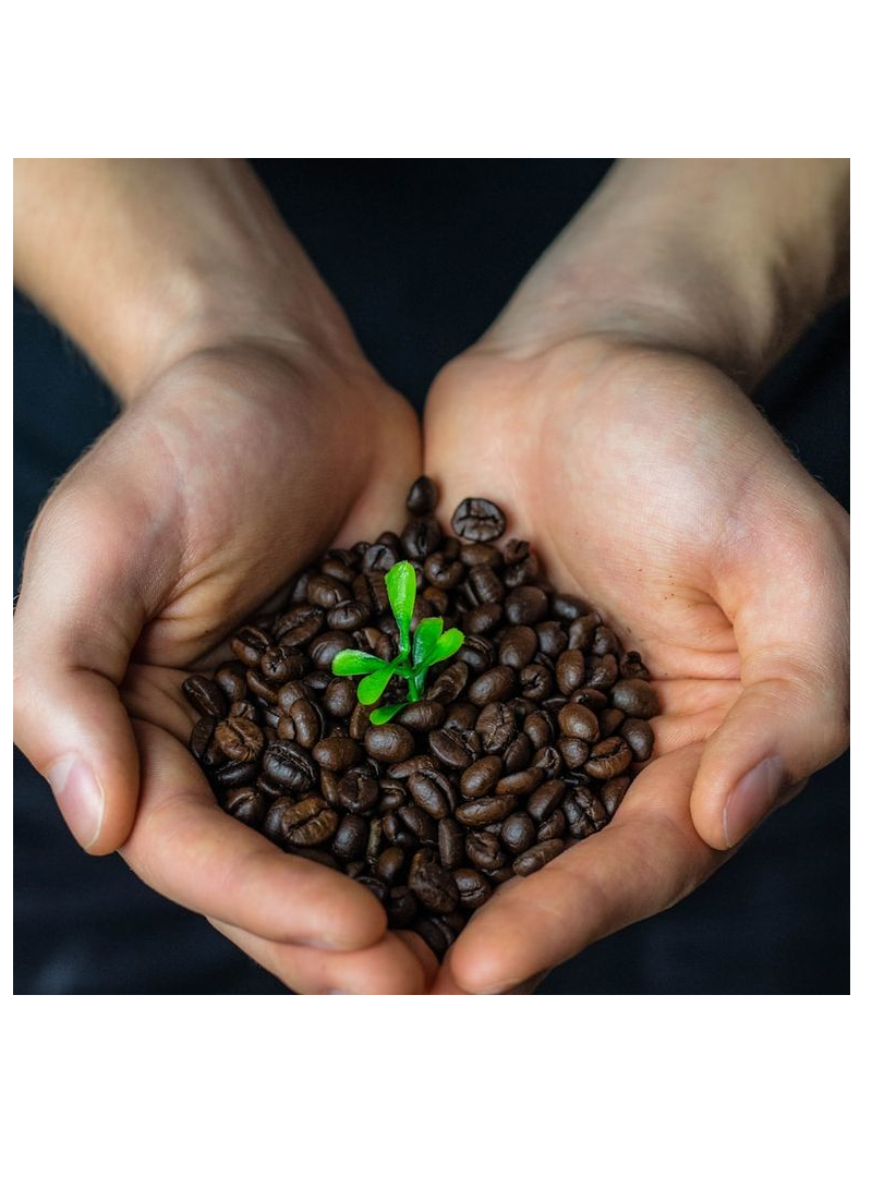 Workshop- FairtradeMalawi im Haus mit Zukunft